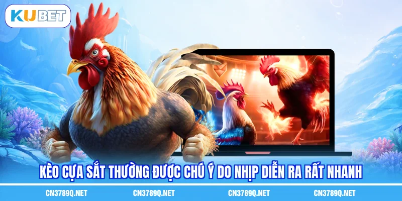 Kèo cựa sắt thường được chú ý do nhịp diễn ra rất nhanh Kèo cựa sắt thường được chú ý do nhịp diễn ra rất nhanh