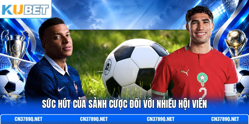 Sức hút của sảnh cược đối với nhiều hội viên